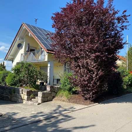 Ferienwohnung Messmer Mit Terrasse Heiligenborn Kültér fotó